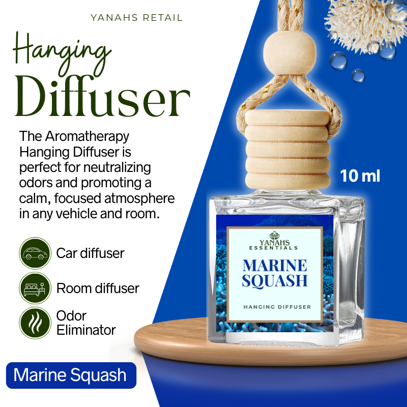 Aromatheraphy Hanging Diffuser – 10ml Scented Oil Bottle for Car, Wardrobe & Small Spaces