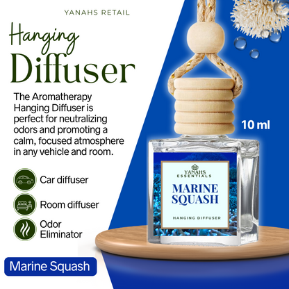 Aromatheraphy Hanging Diffuser – 10ml Scented Oil Bottle for Car, Wardrobe & Small Spaces