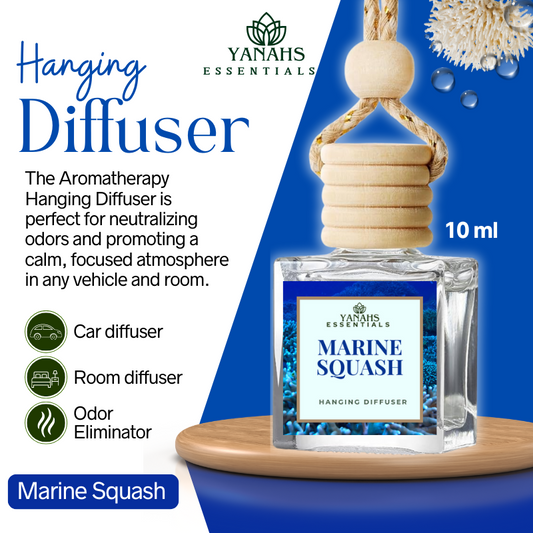 Marine Squash Scent Hanging Diffuser – 10ml Fragrance Oil Bottle for Car, Wardrobe & Small Spaces