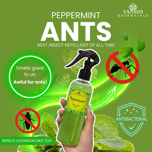 Peppermint Air Freshener Spray – Water-Based Natural Insect Repellent & Odor Eliminator