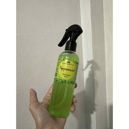 Peppermint Air Freshener Spray – Water-Based Natural Insect Repellent & Odor Eliminator